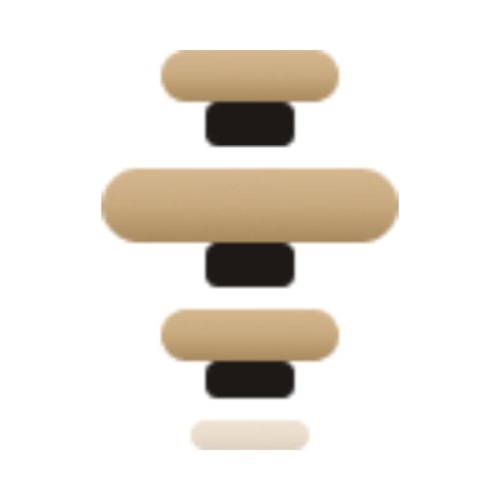 Ironback logo