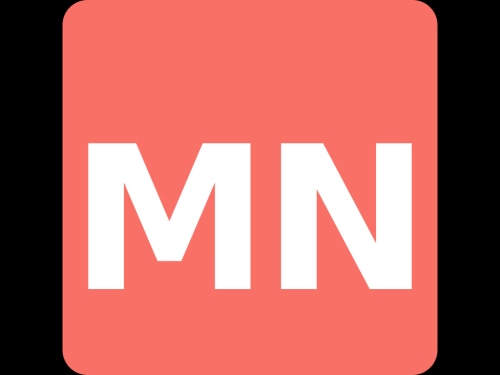 Metric Nexus logo