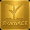 ExamACE Logo