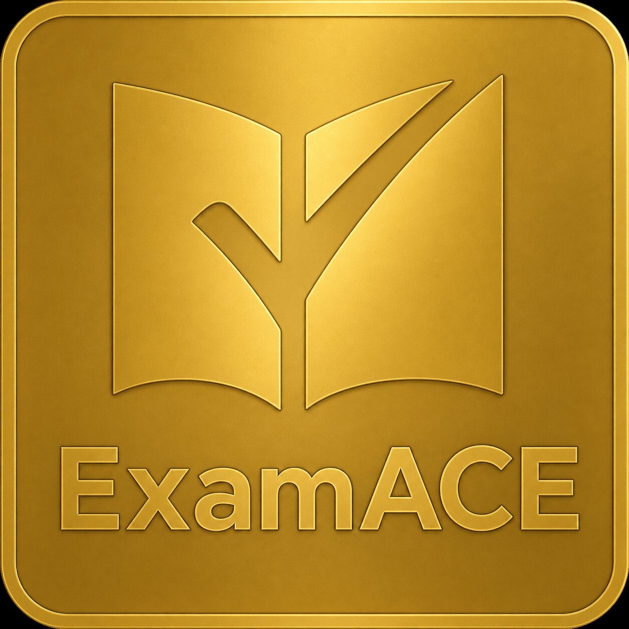 ExamACE logo