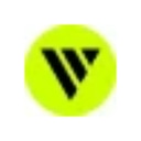 Videowise Logo