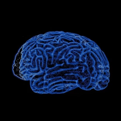 Brain2Qwerty v2 logo