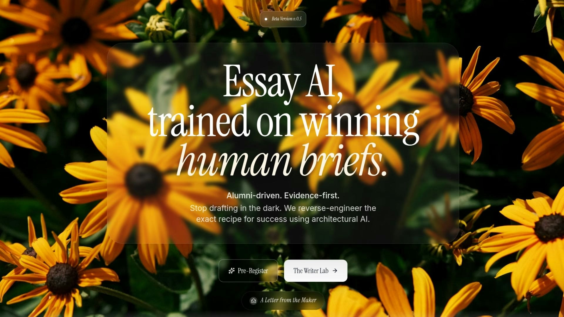 Everyessay - Product Image