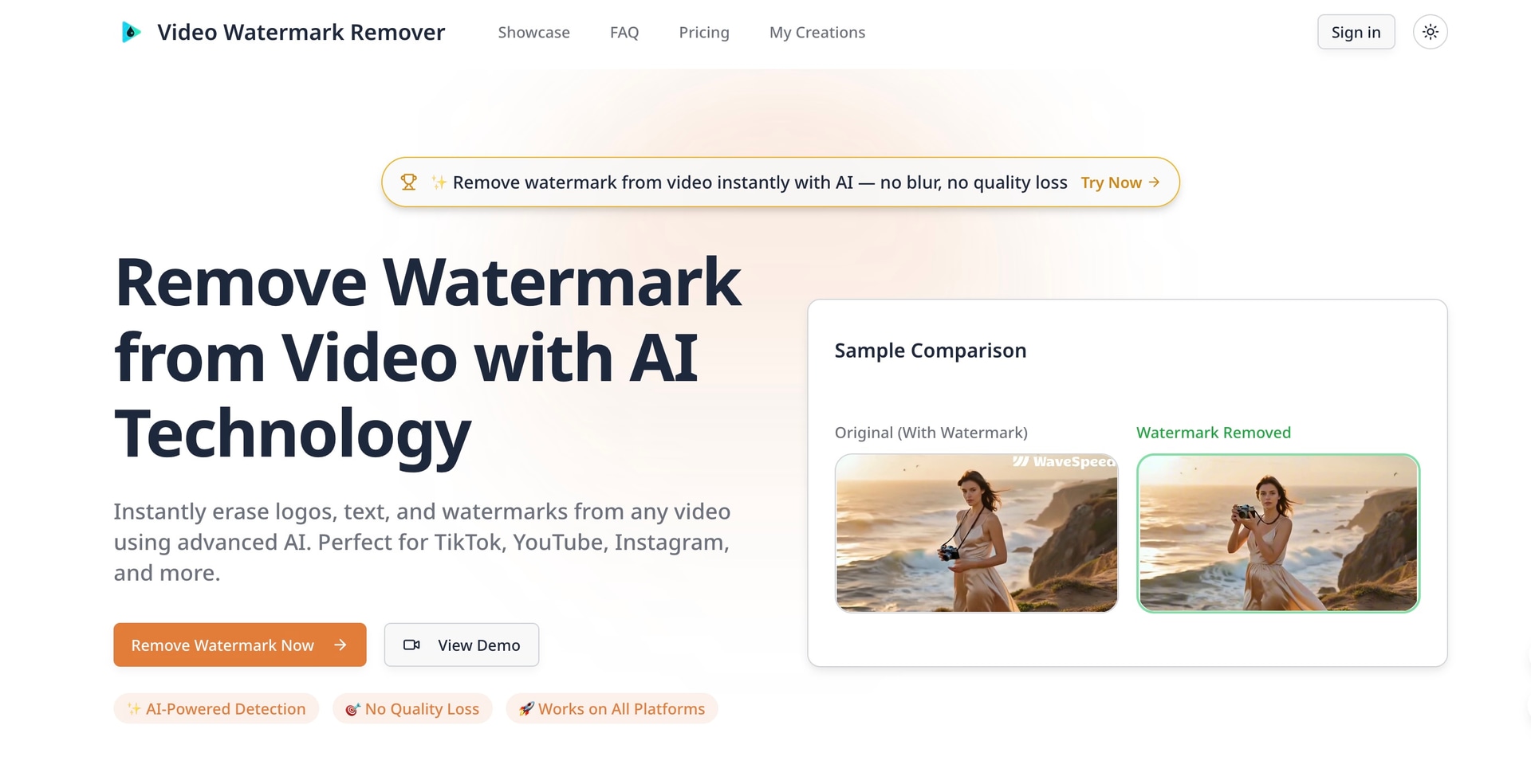 AI Video Watermark Remover - Product Image