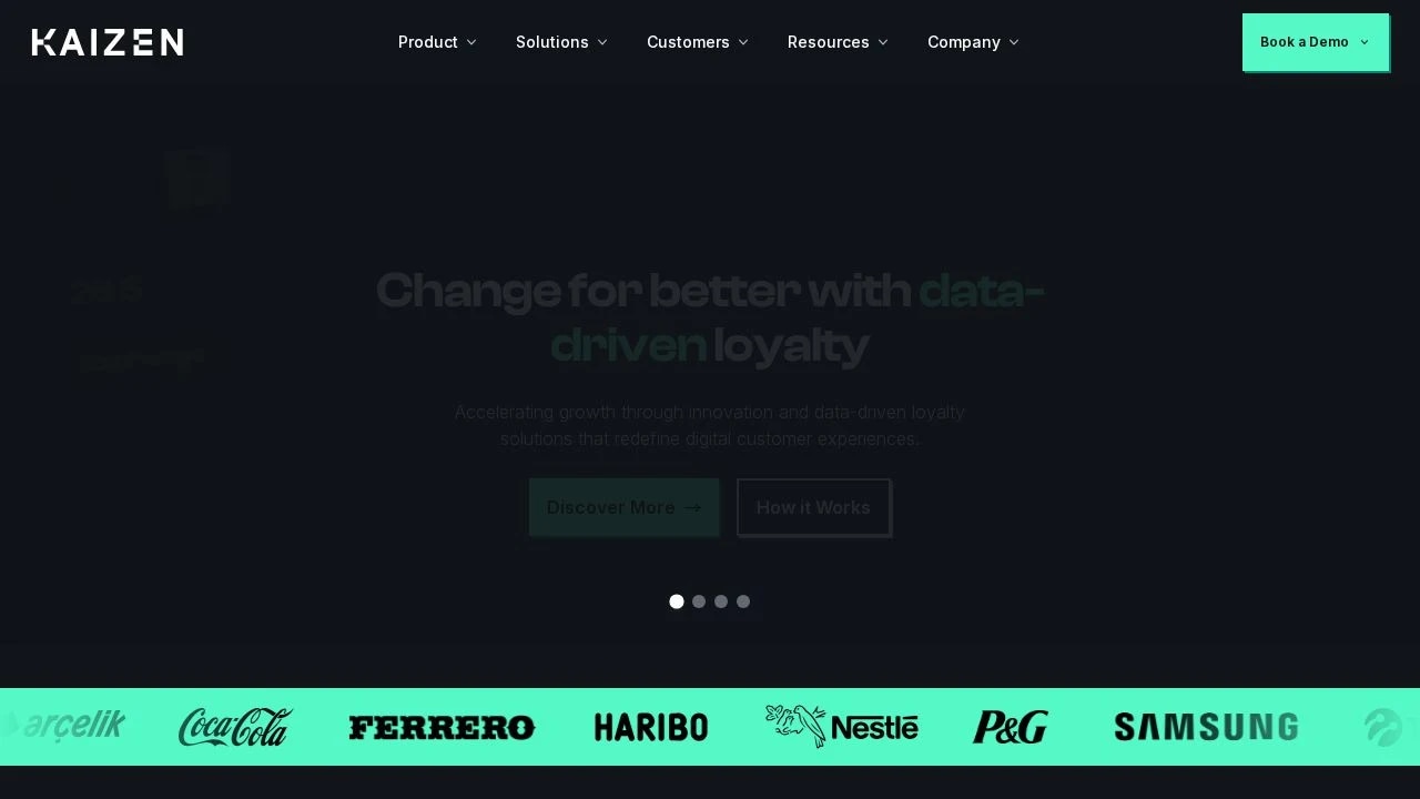 Kaizen Loyalty - Product Image