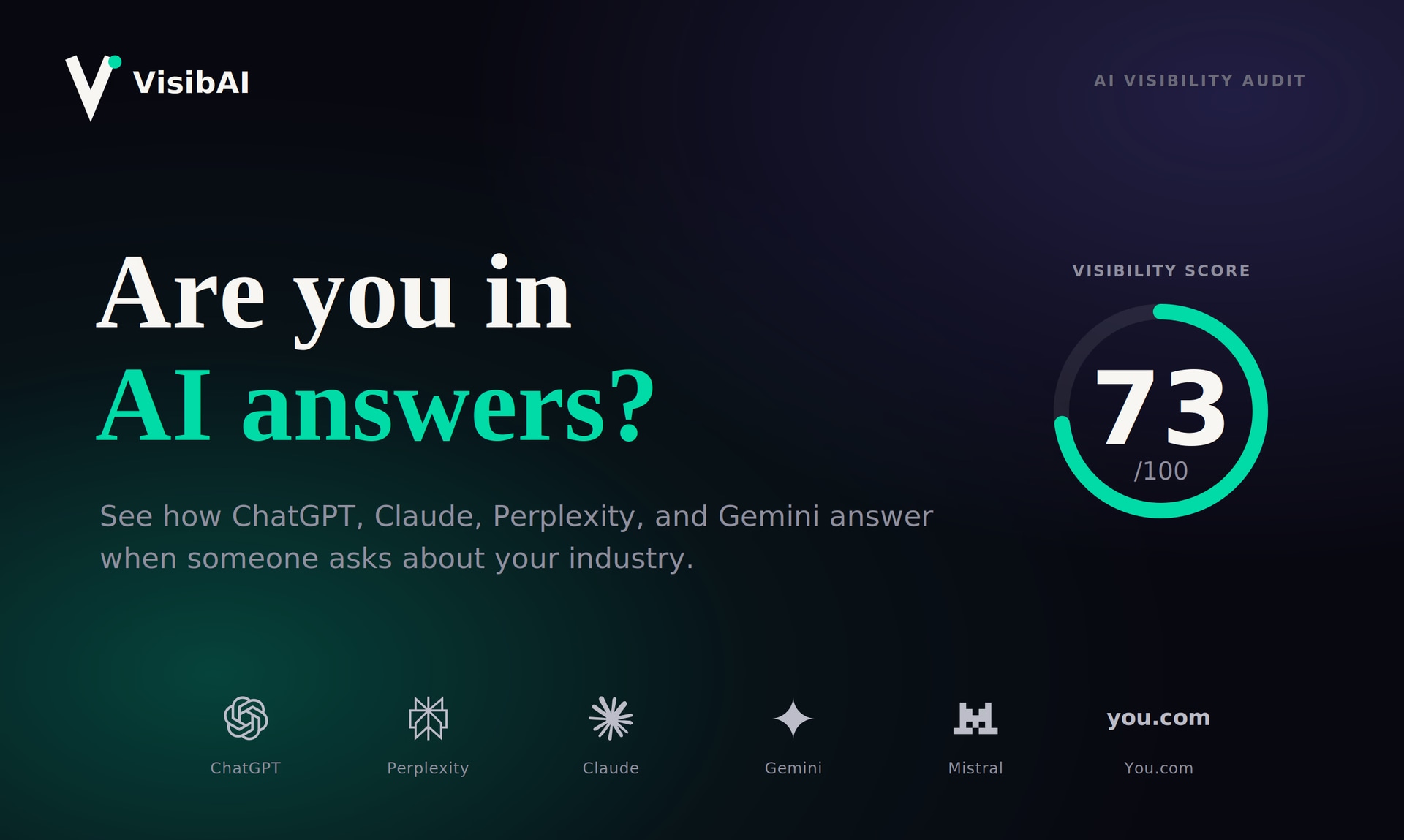 VisibAI - Product Image