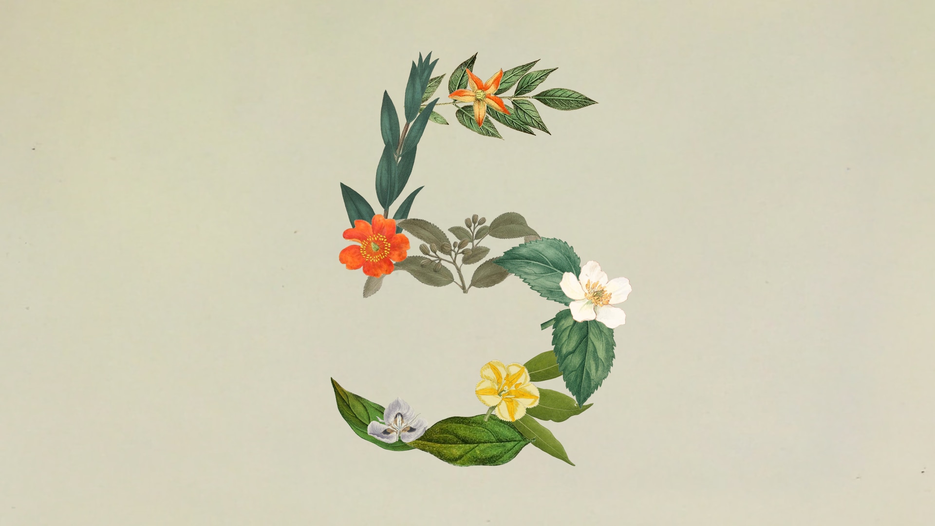 Claude Sonnet 5 - Product Image