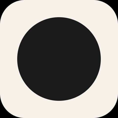 intnt logo