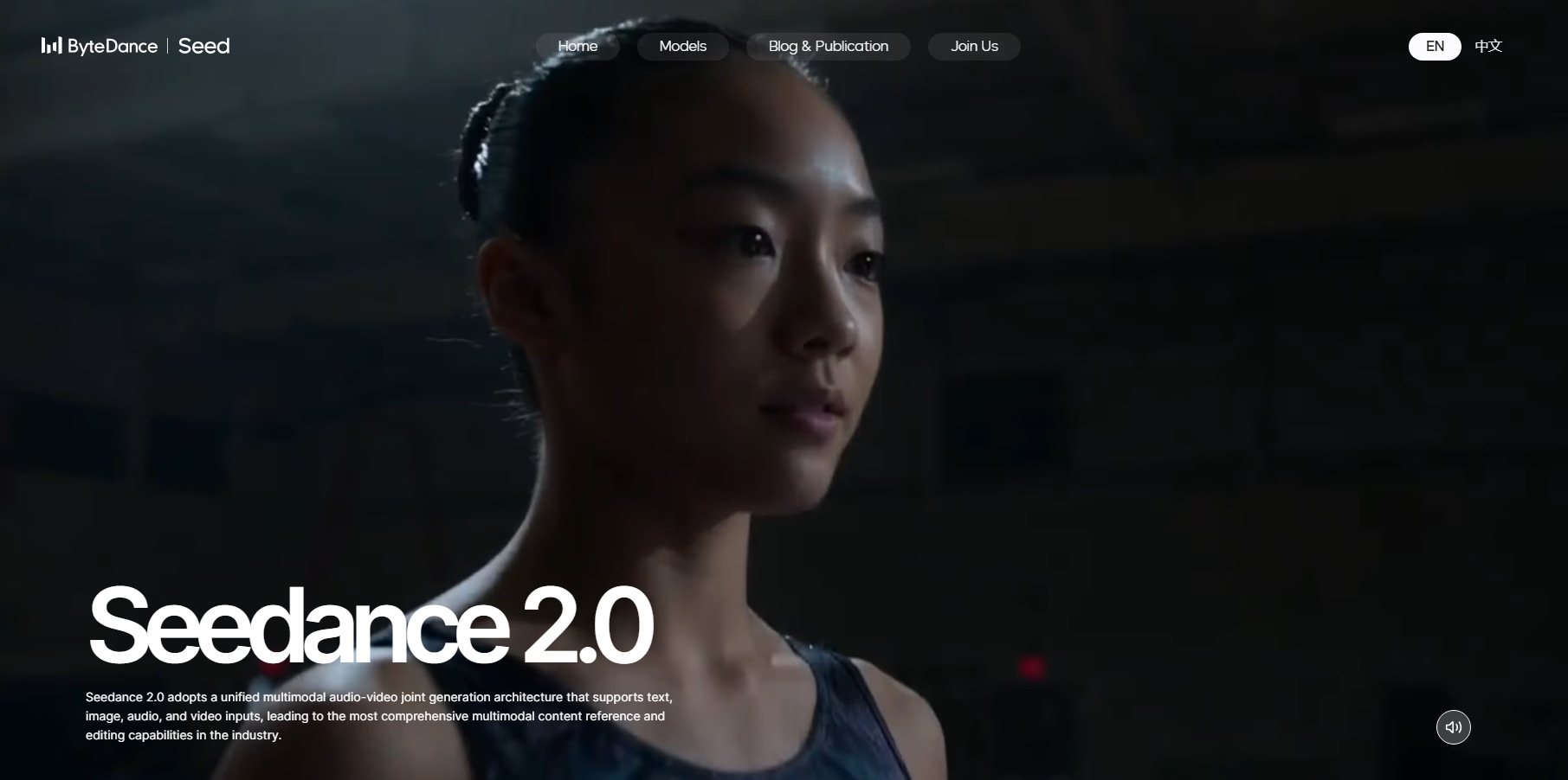 Seedance 2.0 - Product Image