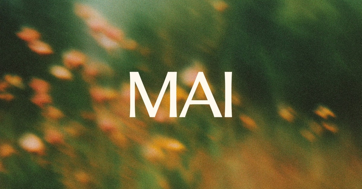 MAI-Image-2.5 - Product Image