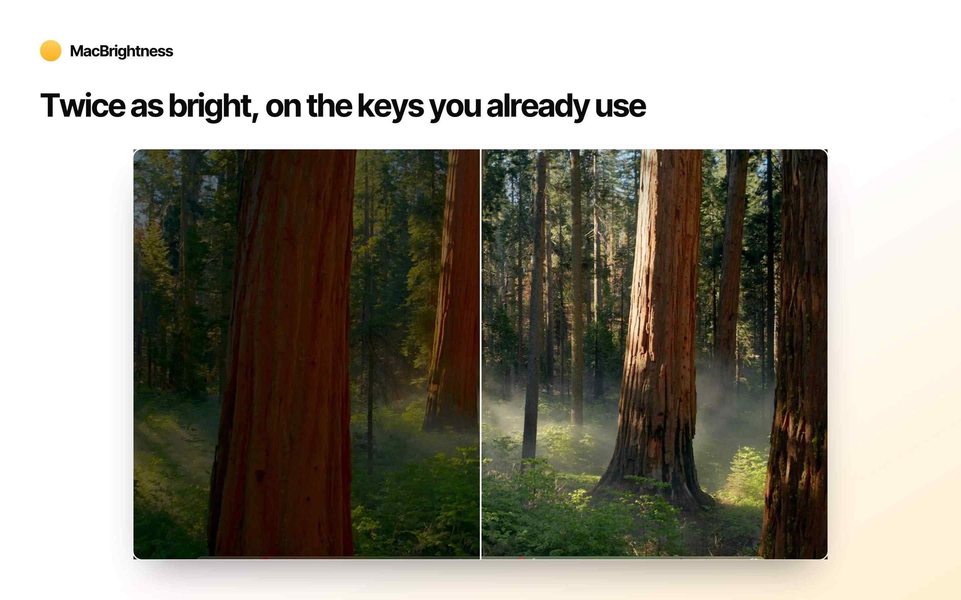 MacBrightness - Product Image