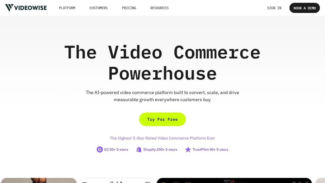 Videowise - Product Image